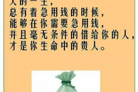 龙门清债公司哪里找？揭秘债务清收领域的专业机构